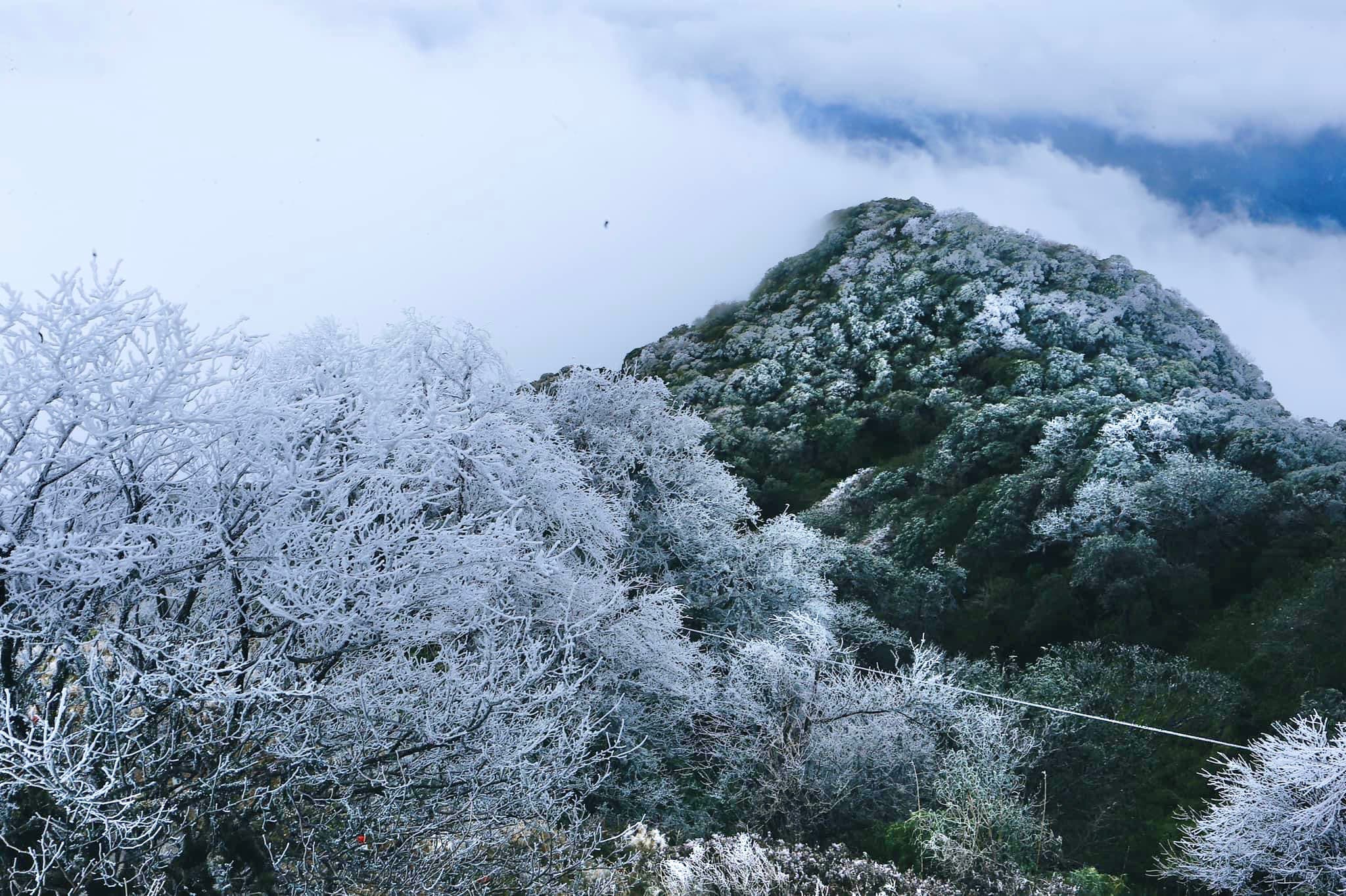 Draft & Barrel photo 5